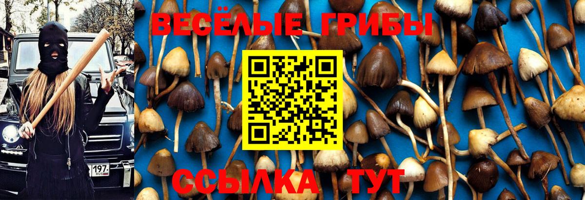 Каннабис Иваново